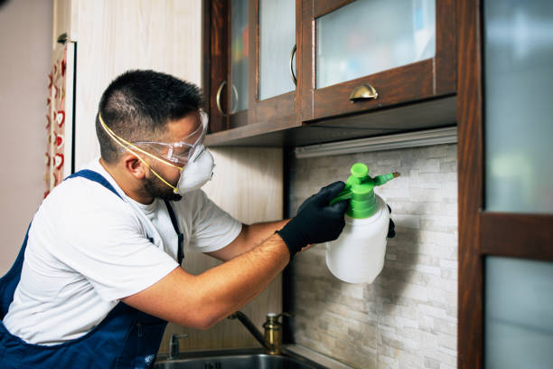 Best Wasp Removal Services  in Dewart, PA