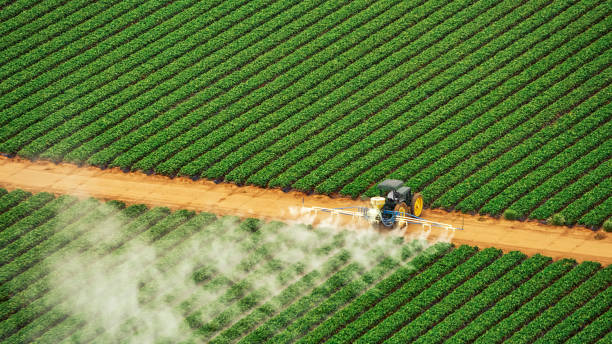 Best Best Pest Control Companies  in Dewart, PA