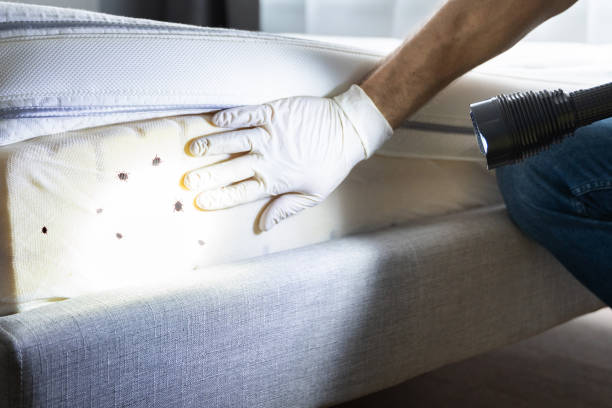Trusted Dewart, PA Pest Control Experts